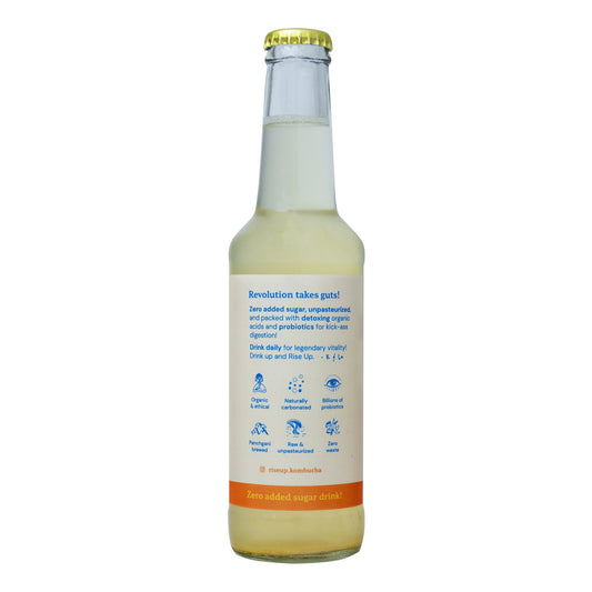 Rise Up Kombucha Turmeric Ginger