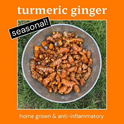 Rise Up Kombucha Turmeric Ginger