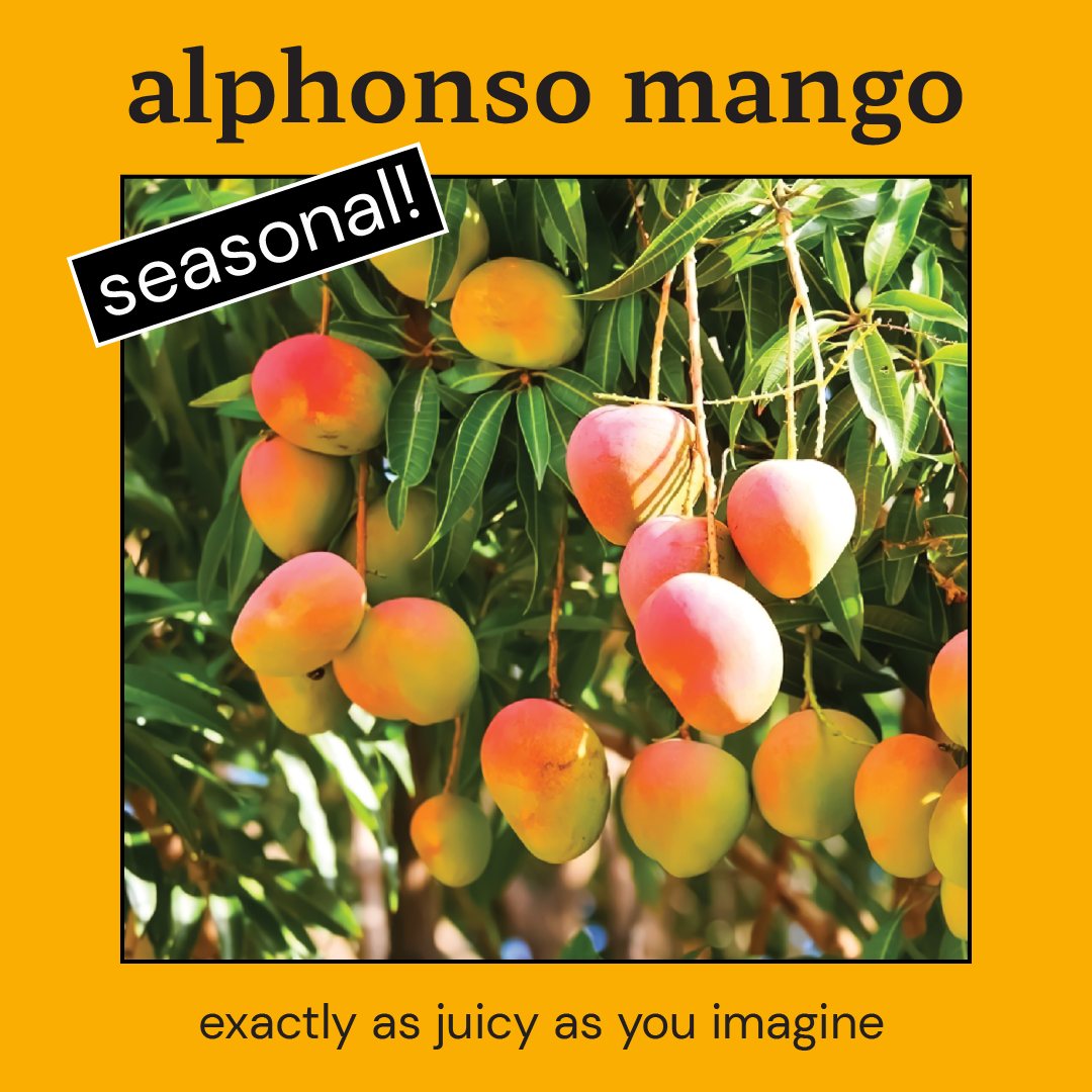 Rise Up Kombucha Rise Up Kombucha - Mango